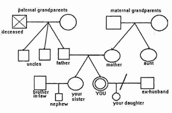 Simple Genogram Example Unique 6 Genogram Templates Free Sample Templates