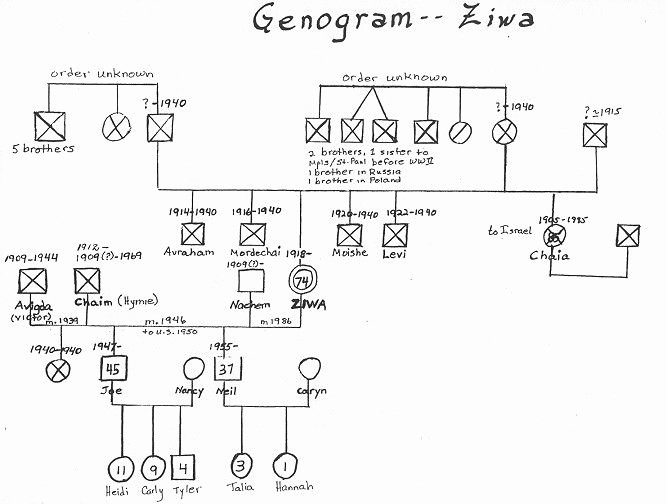 Simple Genogram Example Unique Genogram 667×504 Ag 475d Examples