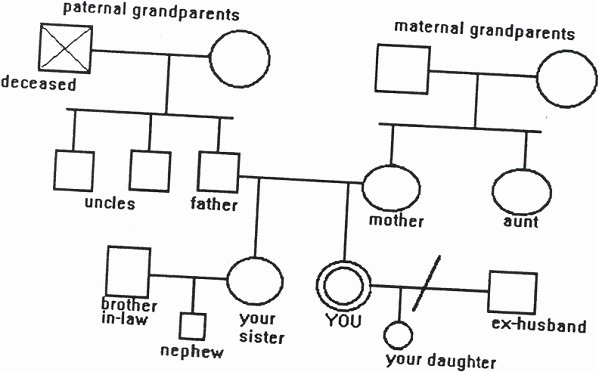 Simple Genogram Example Unique M Brinton Lykes S Webpage Contact Info