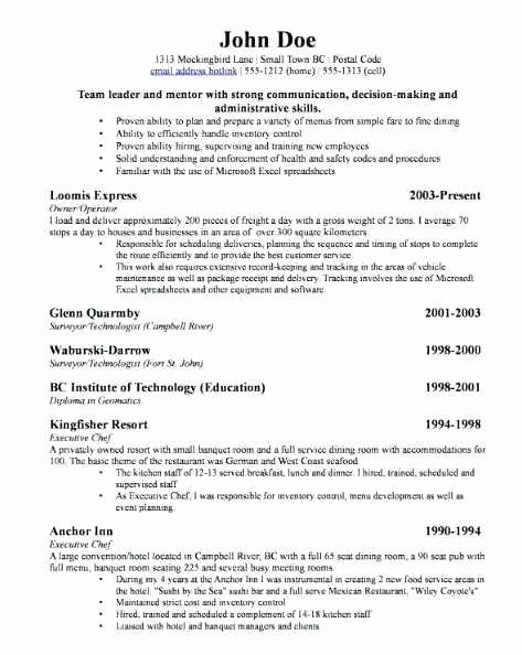 Small Business Owner Resume Sample Best Of Usyhnews