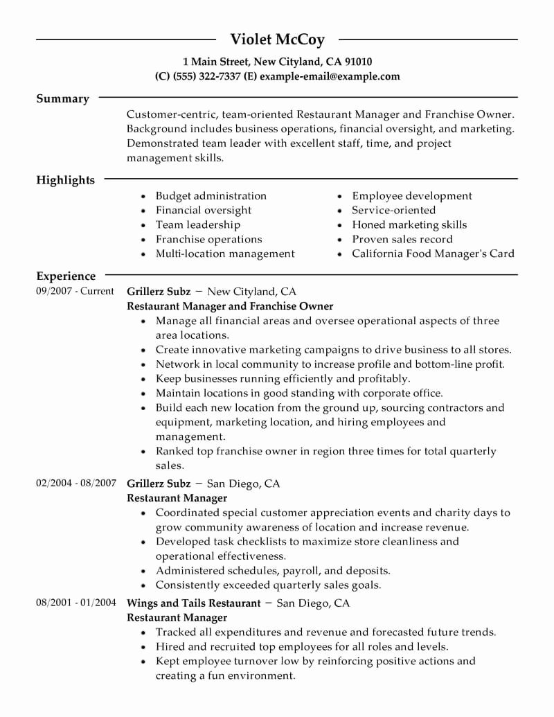 Small Business Owner Resume Sample Elegant Resume format for Business Owner