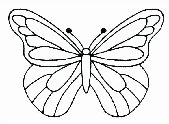 Small butterfly Template Elegant butterflies Template to Print – Gad Sworldfo