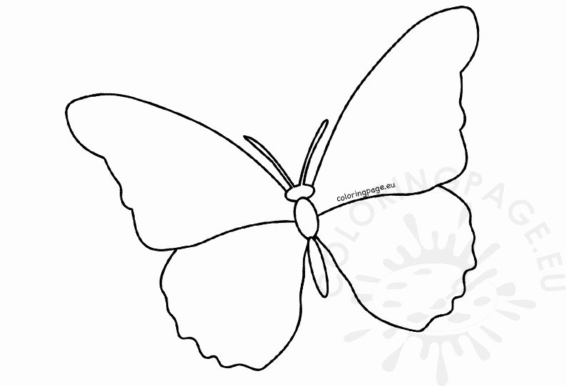 Small butterfly Template Elegant butterfly Cutout Template