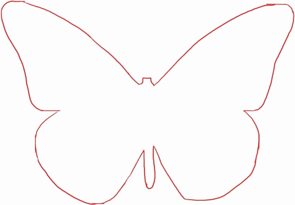 Small butterfly Template Elegant Small butterfly Template