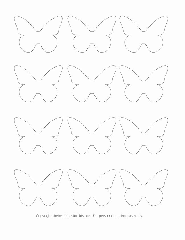 Small butterfly Template Inspirational butterfly Template the Best Ideas for Kids