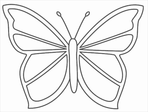 Small butterfly Template Lovely 28 butterfly Templates Printable Crafts &amp; Colouring