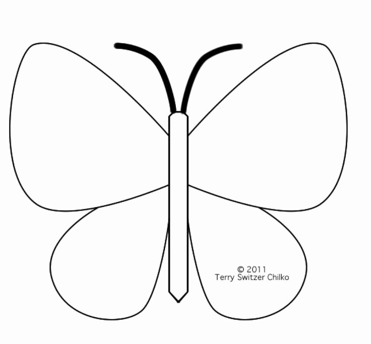 Small butterfly Template Lovely butterfly Template Printable Coloring Home