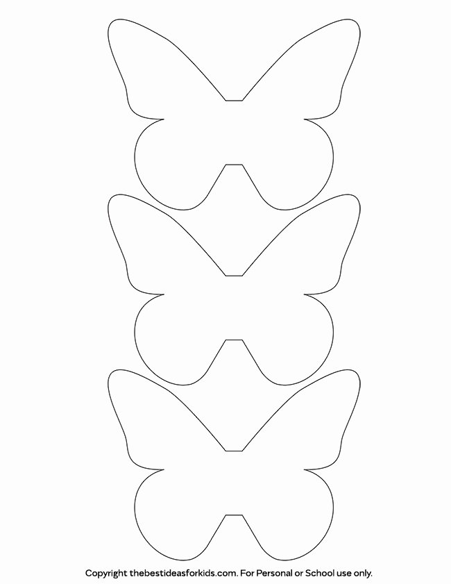 Small butterfly Template Lovely butterfly Template the Best Ideas for Kids
