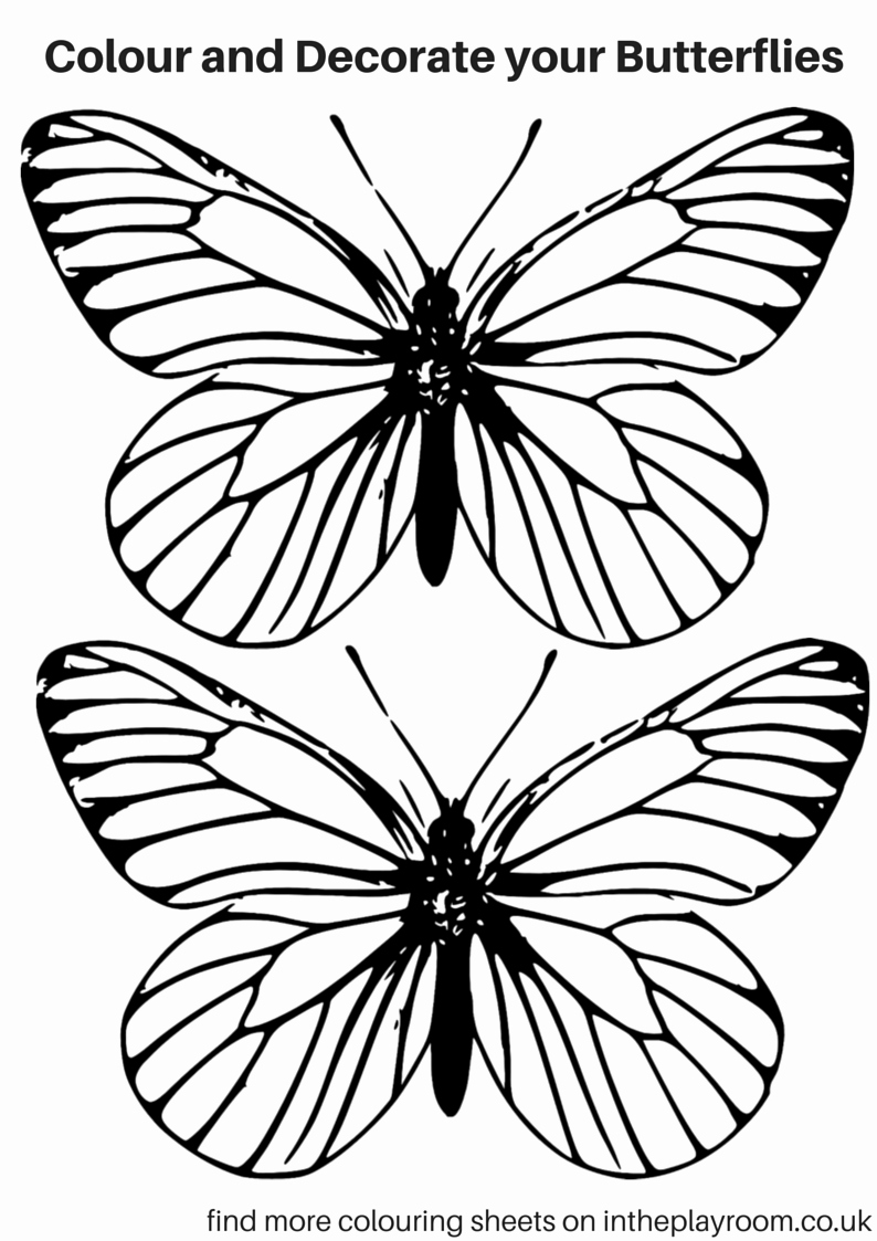 Small butterfly Template Lovely Free Printable butterfly Colouring Pages In the Playroom