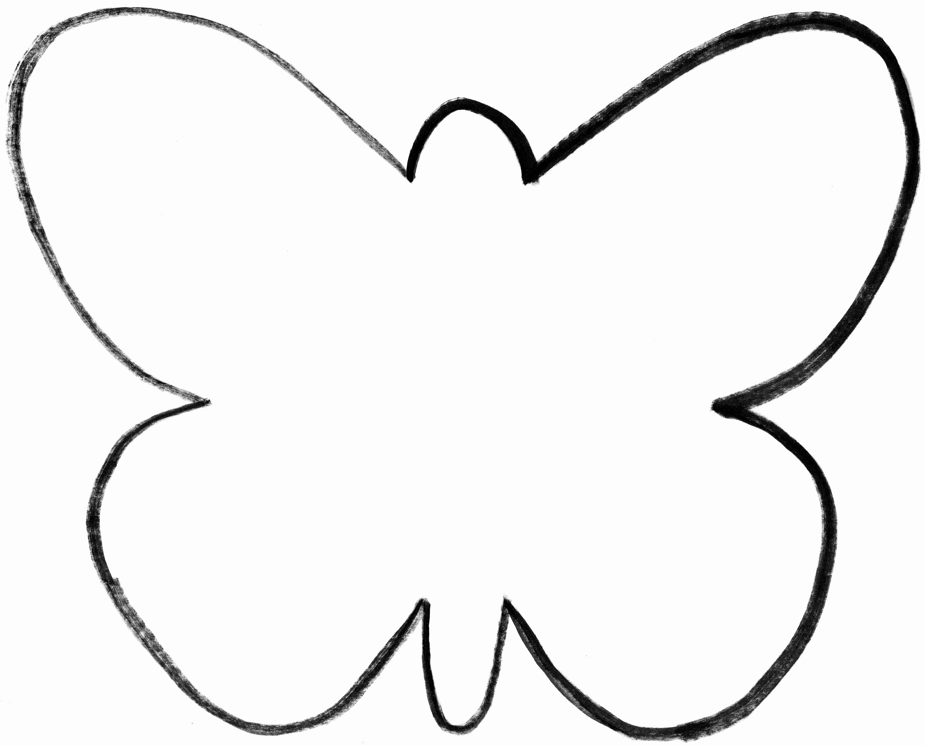 Small butterfly Template Luxury butterfly Template Printable