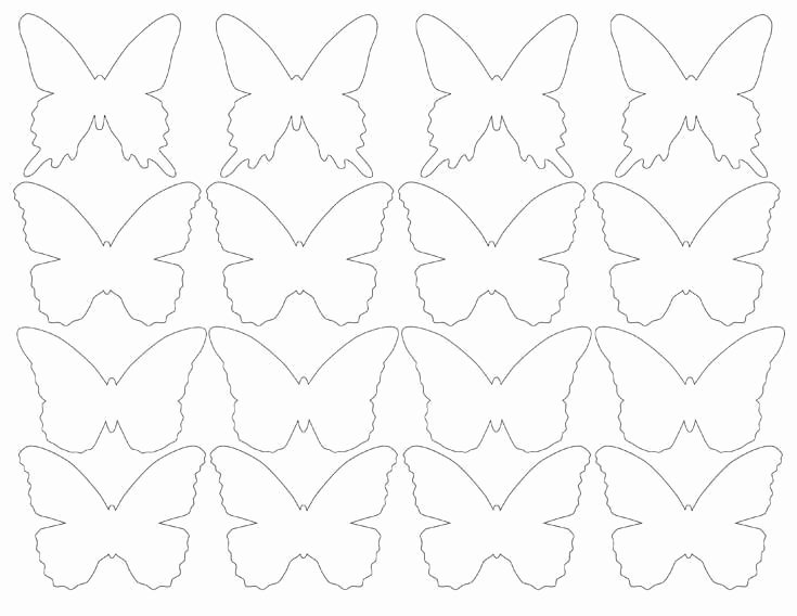 Small butterfly Template Luxury Diy butterfly Party Favor Free Printable Halfpint