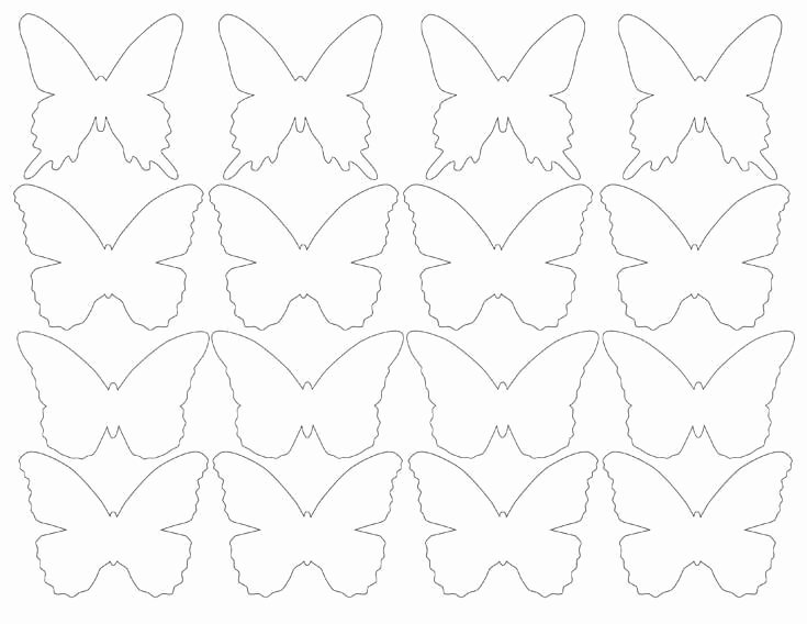 Small butterfly Template Luxury Diy butterfly Party Favor Free Printable Halfpint