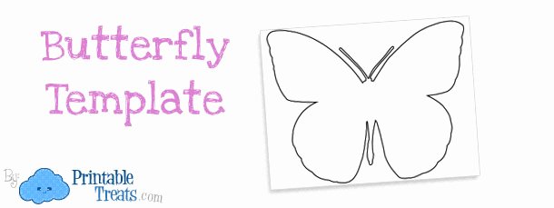 Small butterfly Template New Printable butterfly Template — Printable Treats