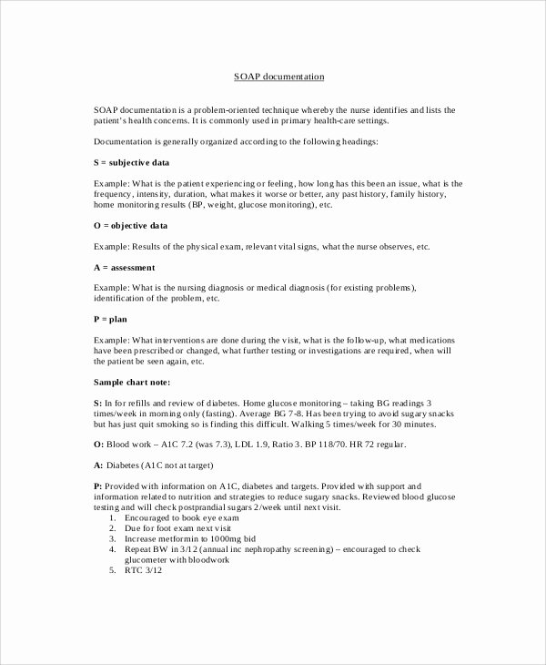 Soap Documentation Example Beautiful soap Note Example 8 Samples In Pdf Word