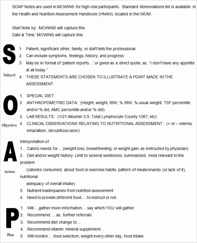 Soap Documentation Example New Nurses Notes Template Free Download