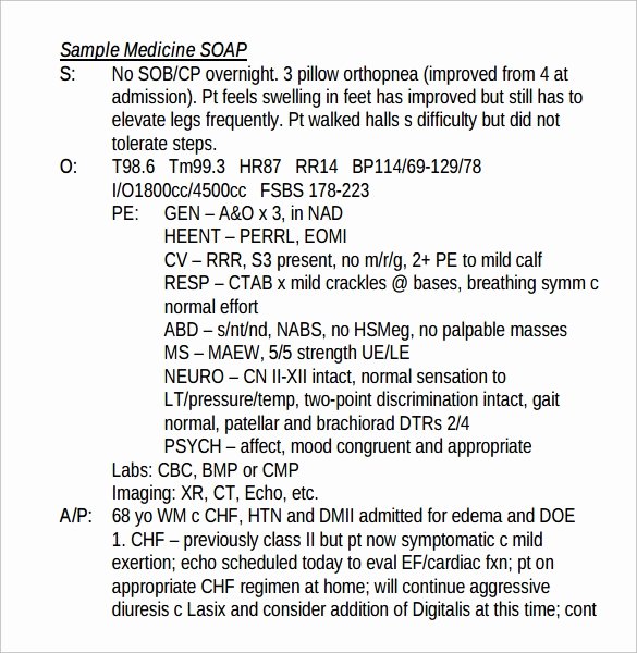 Soap Documentation Example Unique soap Note Example 12 Free Samples Examples format