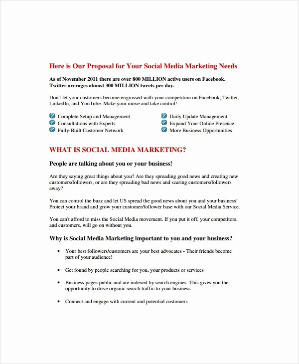 Social Media Marketing Proposal Pdf Beautiful 9 social Media Marketing Proposal Examples &amp; Samples