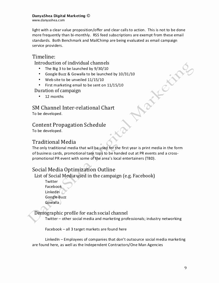 Social Media Marketing Proposal Pdf Beautiful social Media Marketing Plan Sample