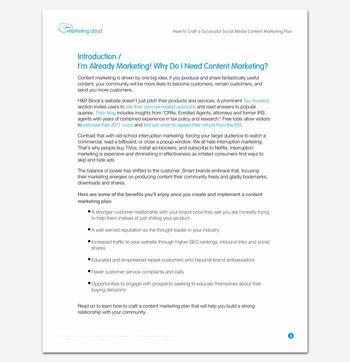 Social Media Marketing Proposal Pdf Fresh social Media Strategy Outline Template 7 Samples for