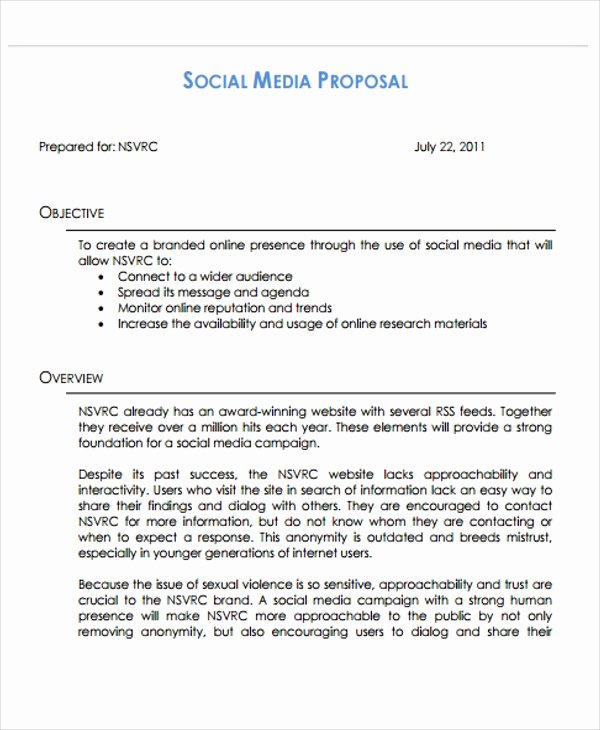 Social Media Marketing Proposal Pdf New 10 social Media Marketing Plan Examples Pdf