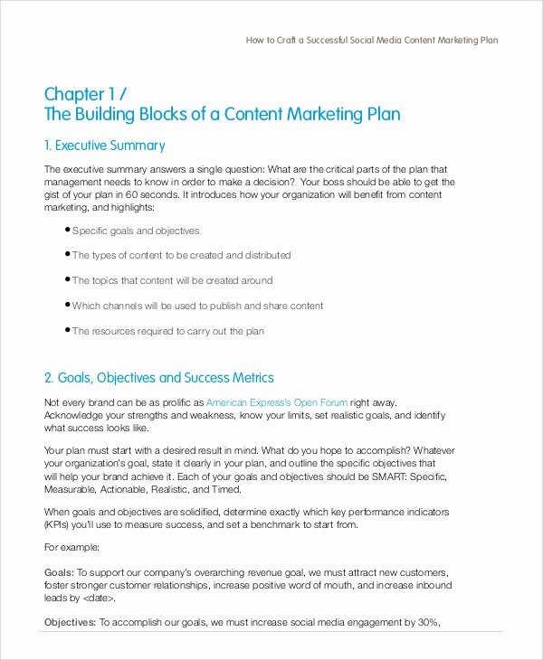 Social Media Marketing Proposal Pdf New Sample social Media Marketing Plan 9 Examples In Pdf