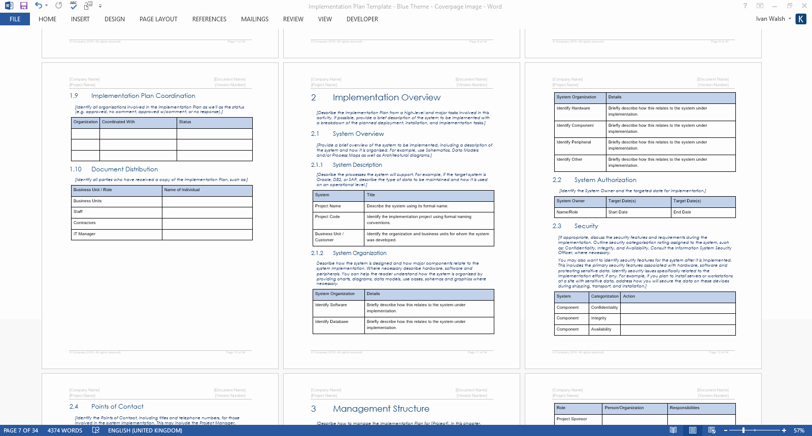 Software Deployment Plan Template Unique Implementation Plan Template Ms Word