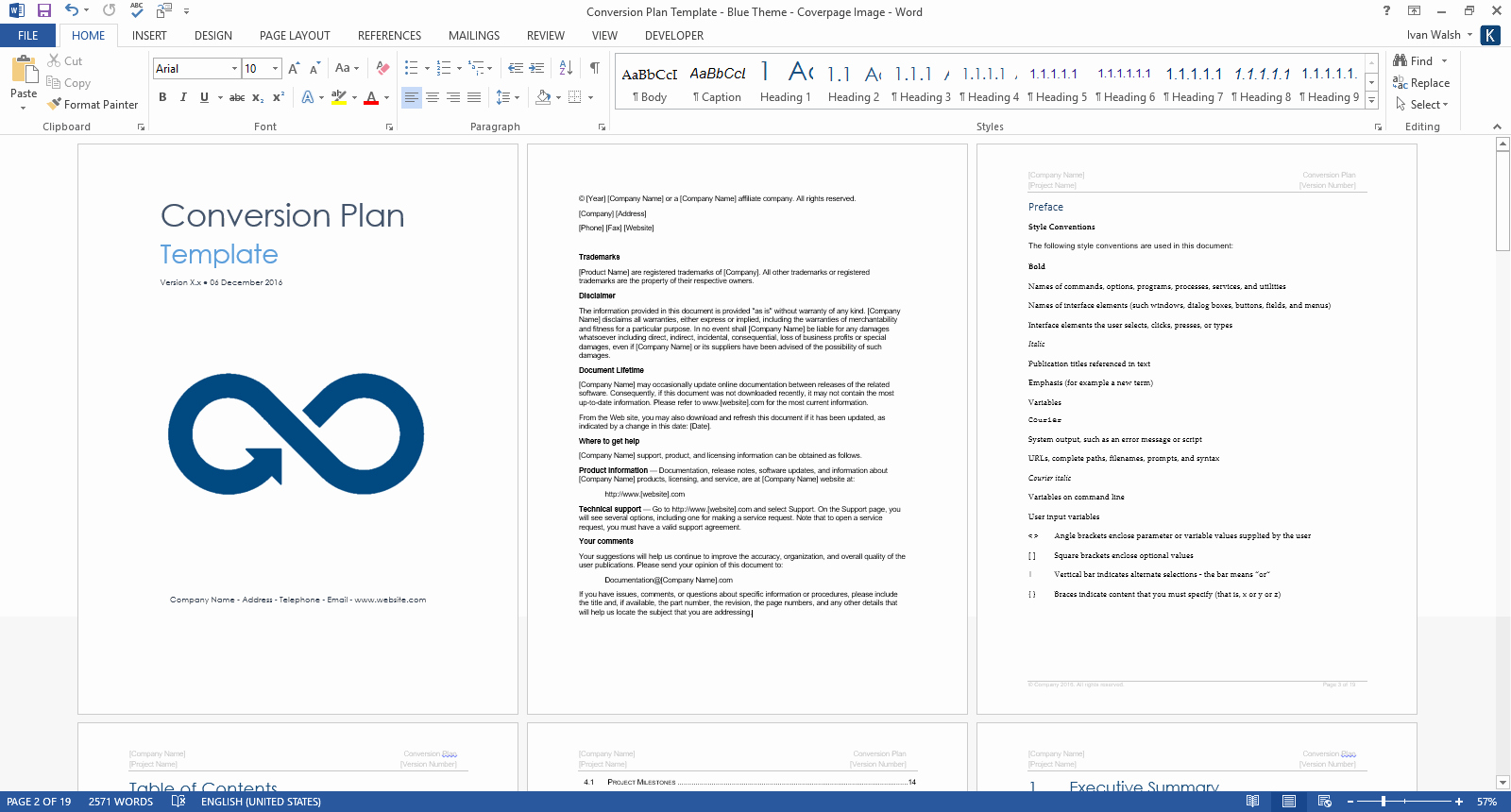 Software Documentation Sample Elegant Conversion Plan Template – Download 19 Page Ms Word Sample