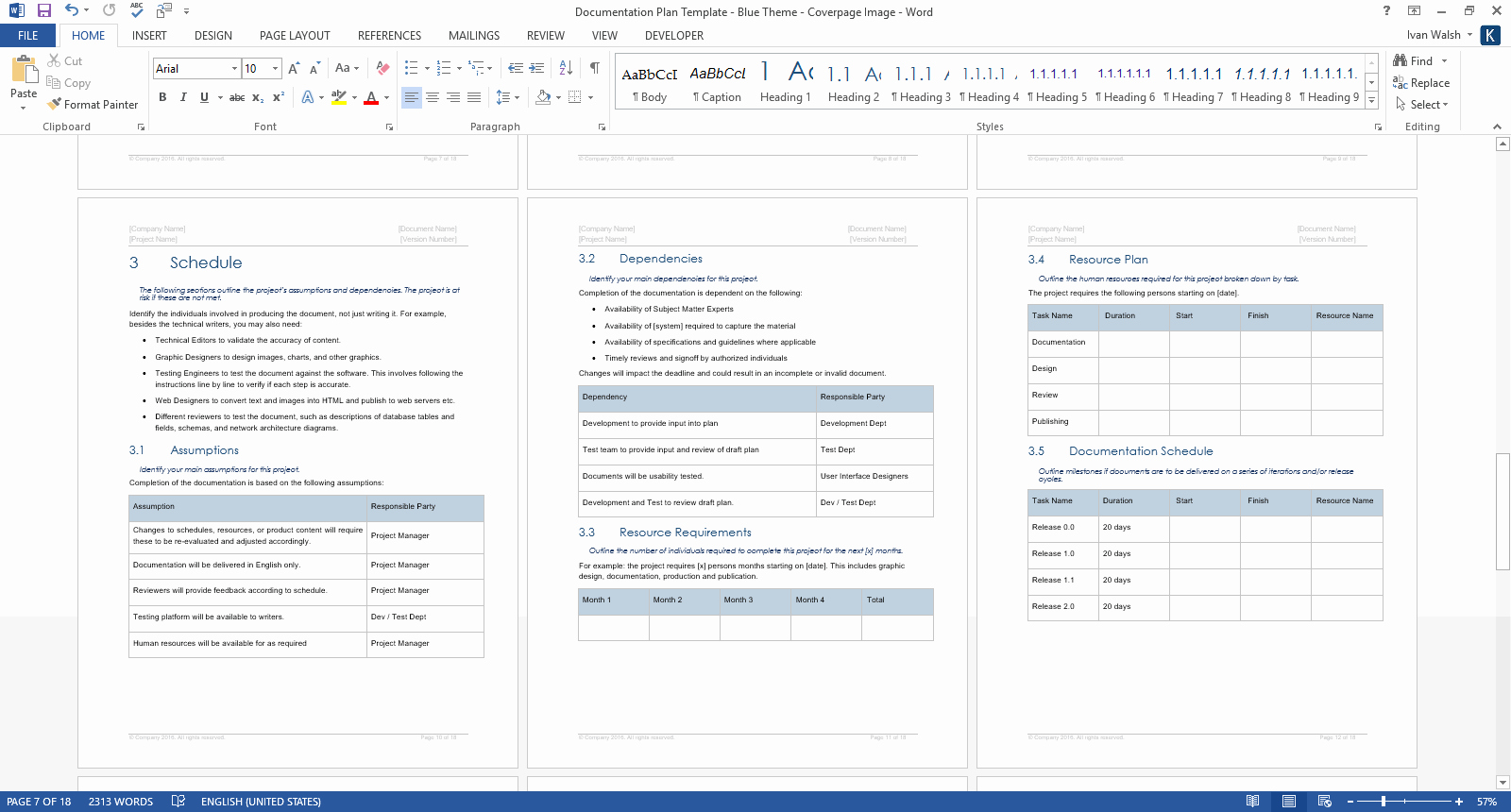 Software Documentation Sample Inspirational Documentation Plan Template Ms Word