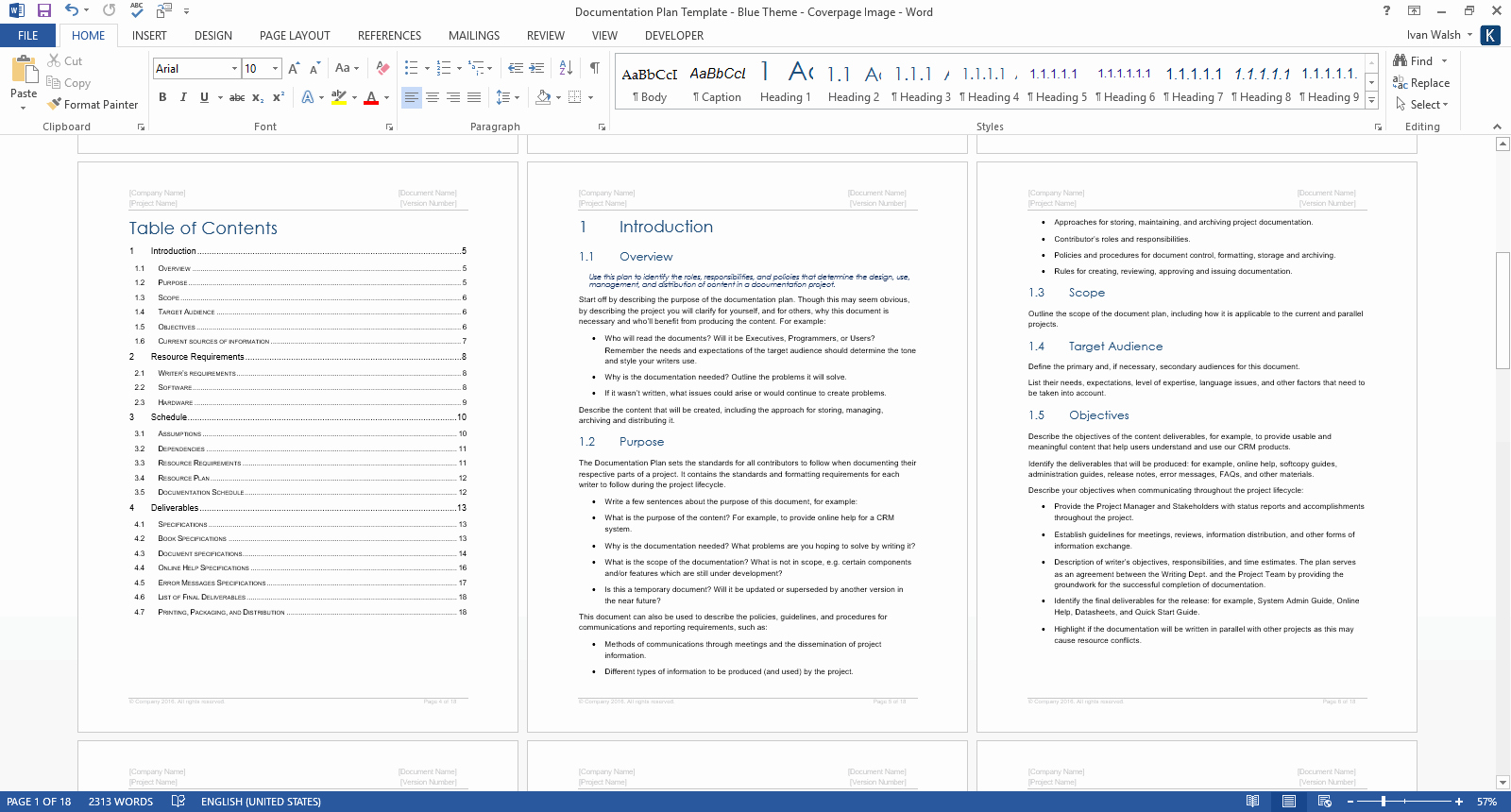 Software Documentation Sample Lovely Documentation Plan Template Ms Word