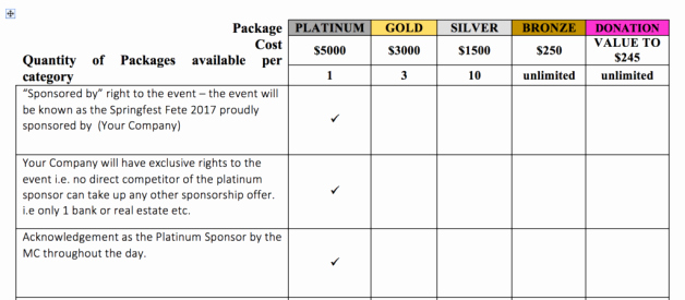 Sponsorship Packet Template Best Of Charity Sponsorship Proposal Template