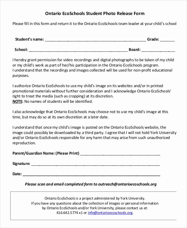 Standard Media Release form Template Elegant Release form Template 9 Free Pdf Documents