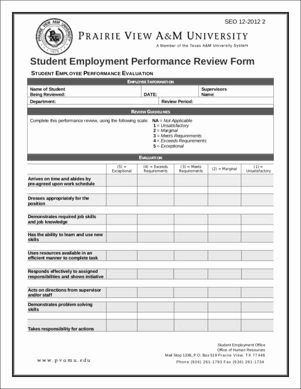 Student Performance Evaluation Examples Elegant Employee Performance Evaluation Goals