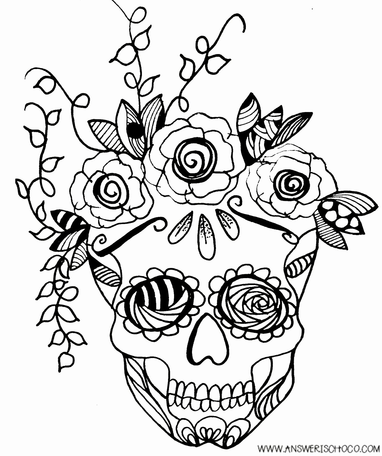 Sugar Skull Outlines Fresh the Answer is Chocolate Sugar Skull