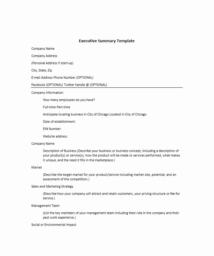 Summary Document Template Beautiful 30 Perfect Executive Summary Examples &amp; Templates