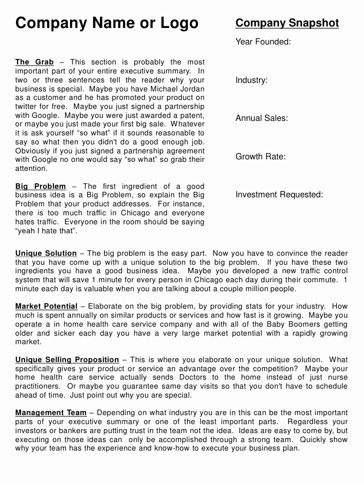 Summary Document Template Best Of Executive Summary Template