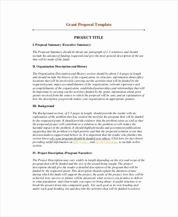Summary Document Template Lovely 10 Project Summary Templates Pdf Doc
