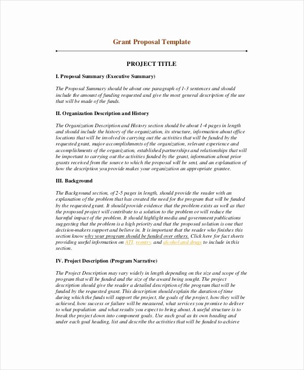 Summary Document Template Lovely 10 Project Summary Templates Pdf Doc