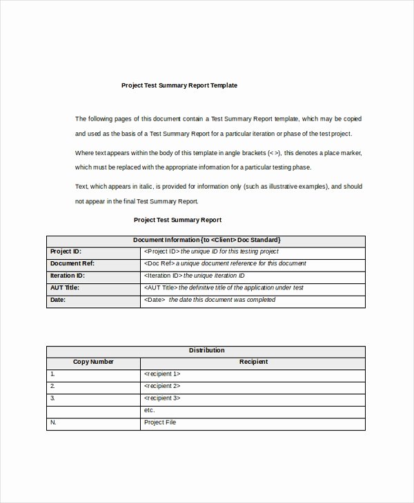 Summary Document Template Luxury 8 Project Summary Templates Free Word Pdf Document