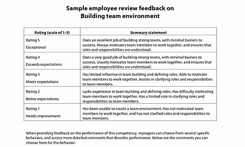 Summary Of Performance Examples Awesome Sample Performance Review Ments &amp; Appraisal Feedback