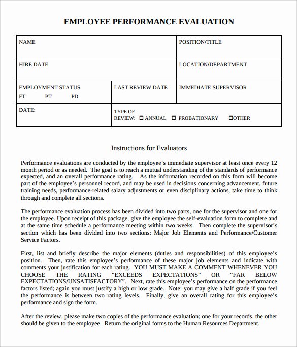 Summary Of Performance Examples Best Of Performance Evaluation form 9 Free Samples Examples