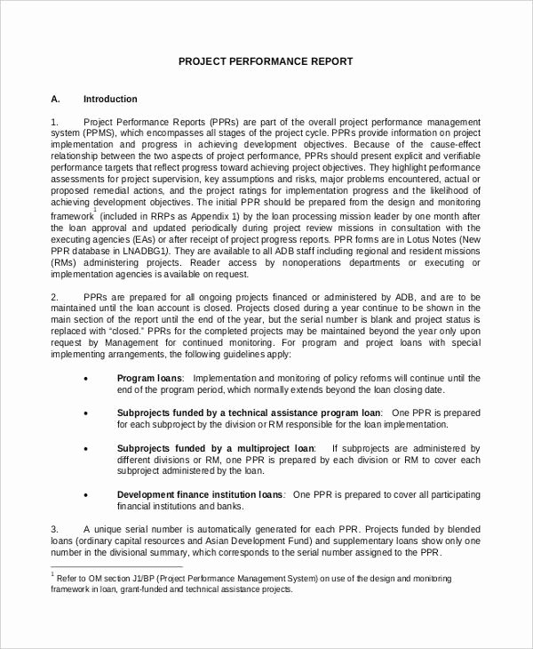 Summary Of Performance Examples Luxury Performance Report Template 17 Free Sample Example