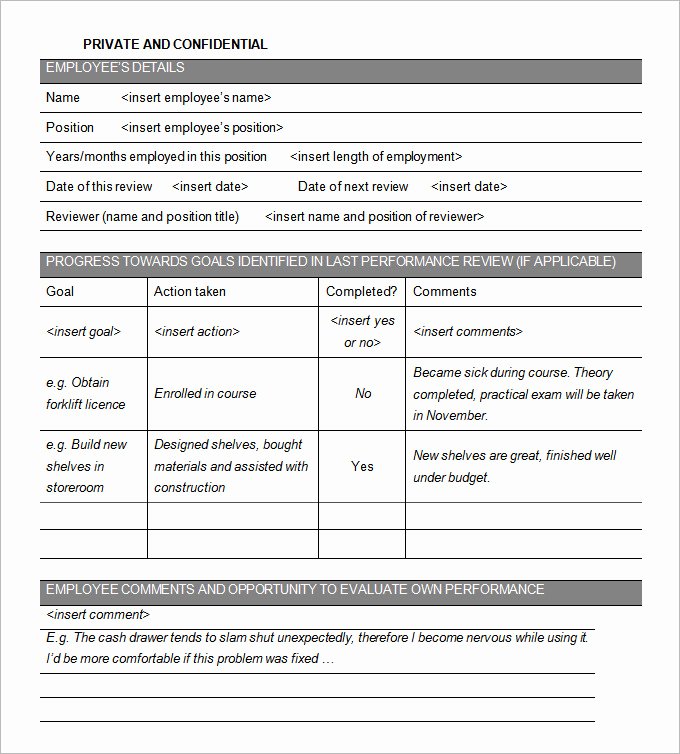 Summary Of Performance Examples New 9 Sample Performance Review Templates Pdf Doc