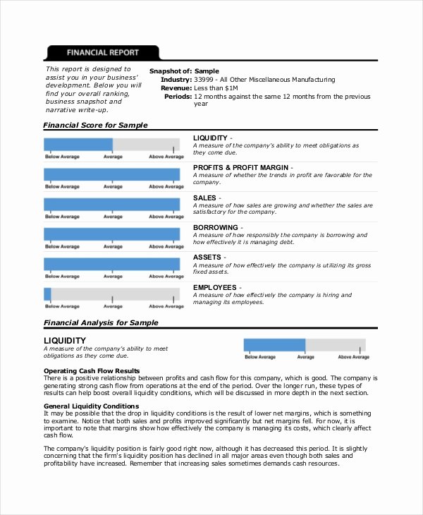 Summary Of Performance Examples New Performance Review Template 11 Free Word Pdf Documents