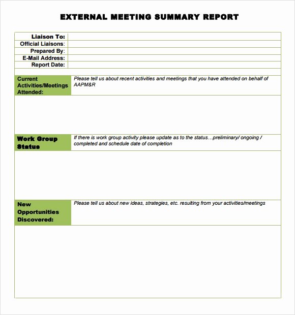 Summary Report format Best Of Sample Meeting Summary Template 7 Documents In Pdf