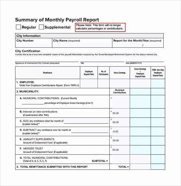 Summary Report format Lovely 22 Monthly Report Templates Docs Pages Word
