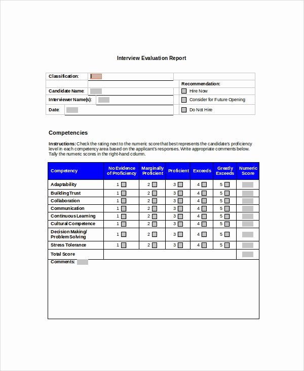 Summary Report format New Sample Interview Summary Templates 5 Free Documents