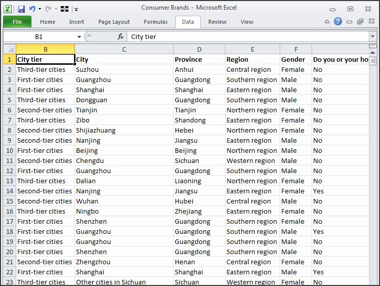 Survey Results Excel Template Lovely Ft Confidential 15