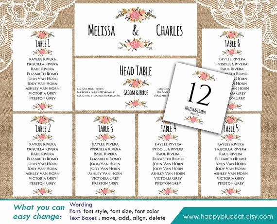 Table Seating Chart Template Microsoft Word Beautiful Best 25 Seating Chart Template Ideas On Pinterest