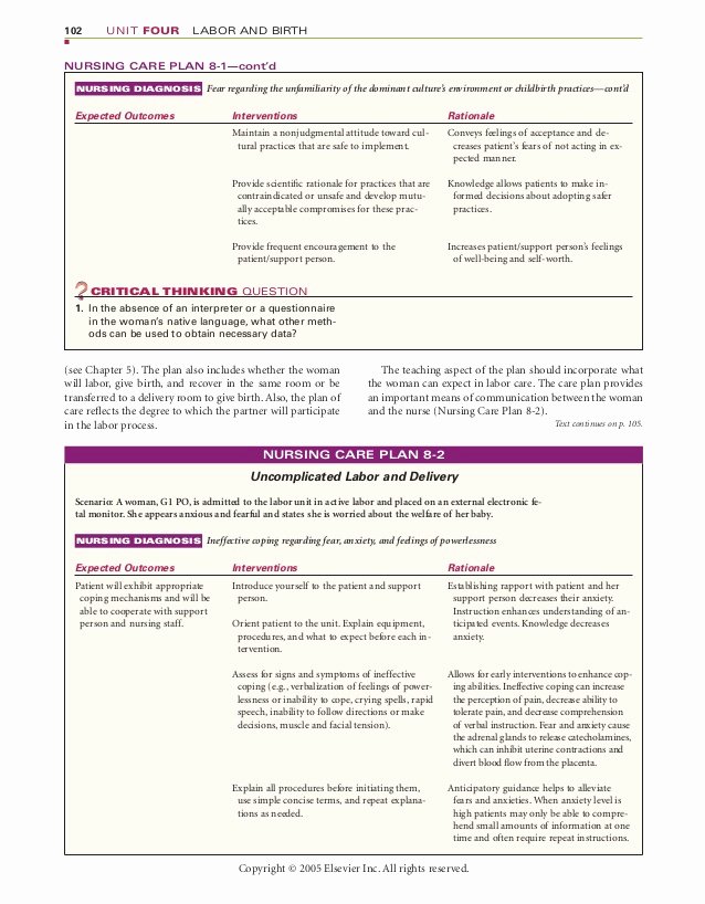 Teaching Plan for Nursing Awesome Chapter 8 Nursing Care During Labor and Pain Management