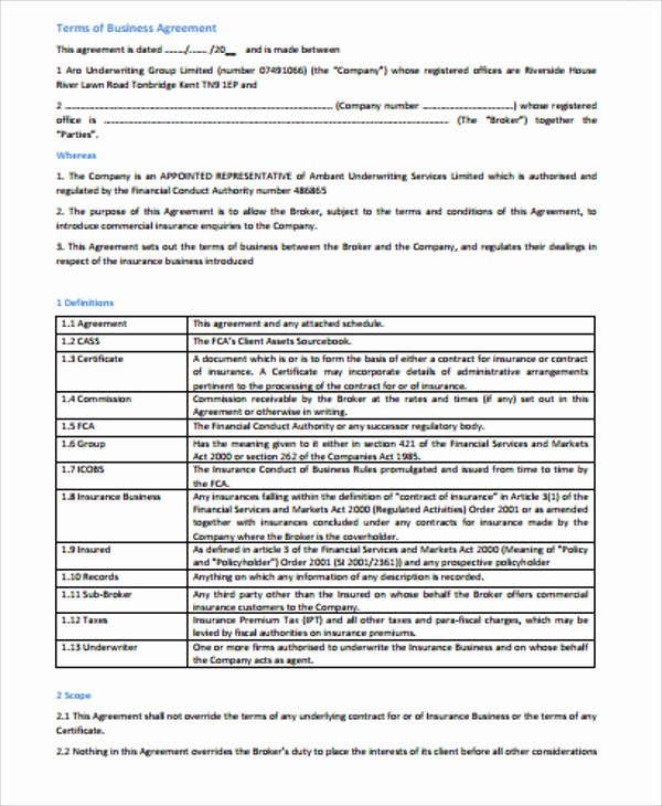 Terms Of Agreement Sample Inspirational 12 Sample Business Agreements